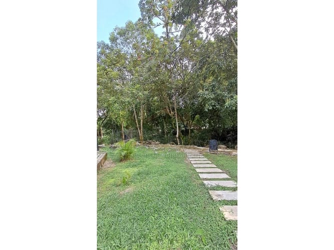 Lote en venta en La Pola, Ibagué, 376 m² · foto 9 de 10