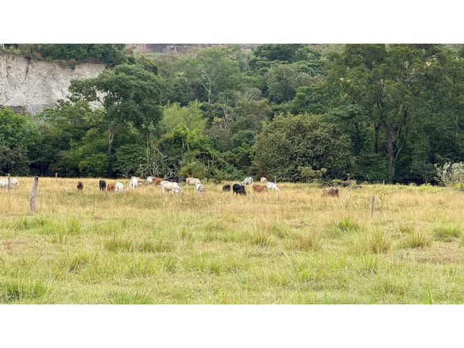 Finca en venta en La Laguna, Ibagué, 10 m² · foto 2 de 12