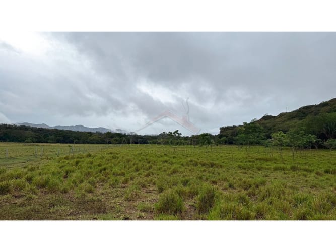 Finca en venta en La Laguna, Ibagué, 10 m² · foto 4 de 12