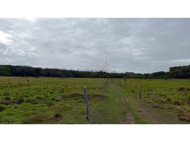 Finca en venta en La Laguna, Ibagué, 10 m² · foto 6 de 12