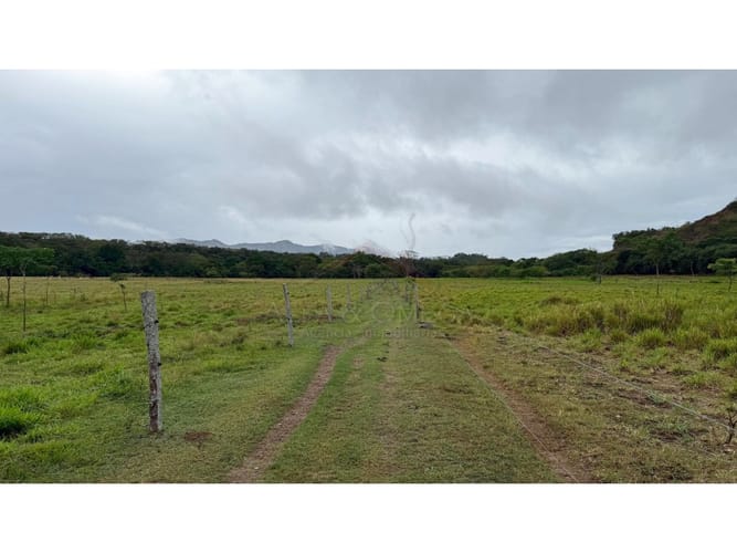 Finca en venta en La Laguna, Ibagué, 10 m² · foto 7 de 12