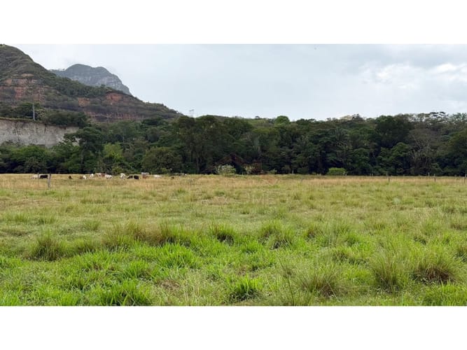 Finca en venta en La Laguna, Ibagué, 10 m² · foto 8 de 12