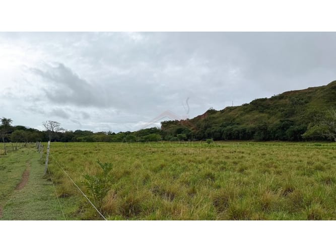 Finca en venta en La Laguna, Ibagué, 10 m² · foto 11 de 12
