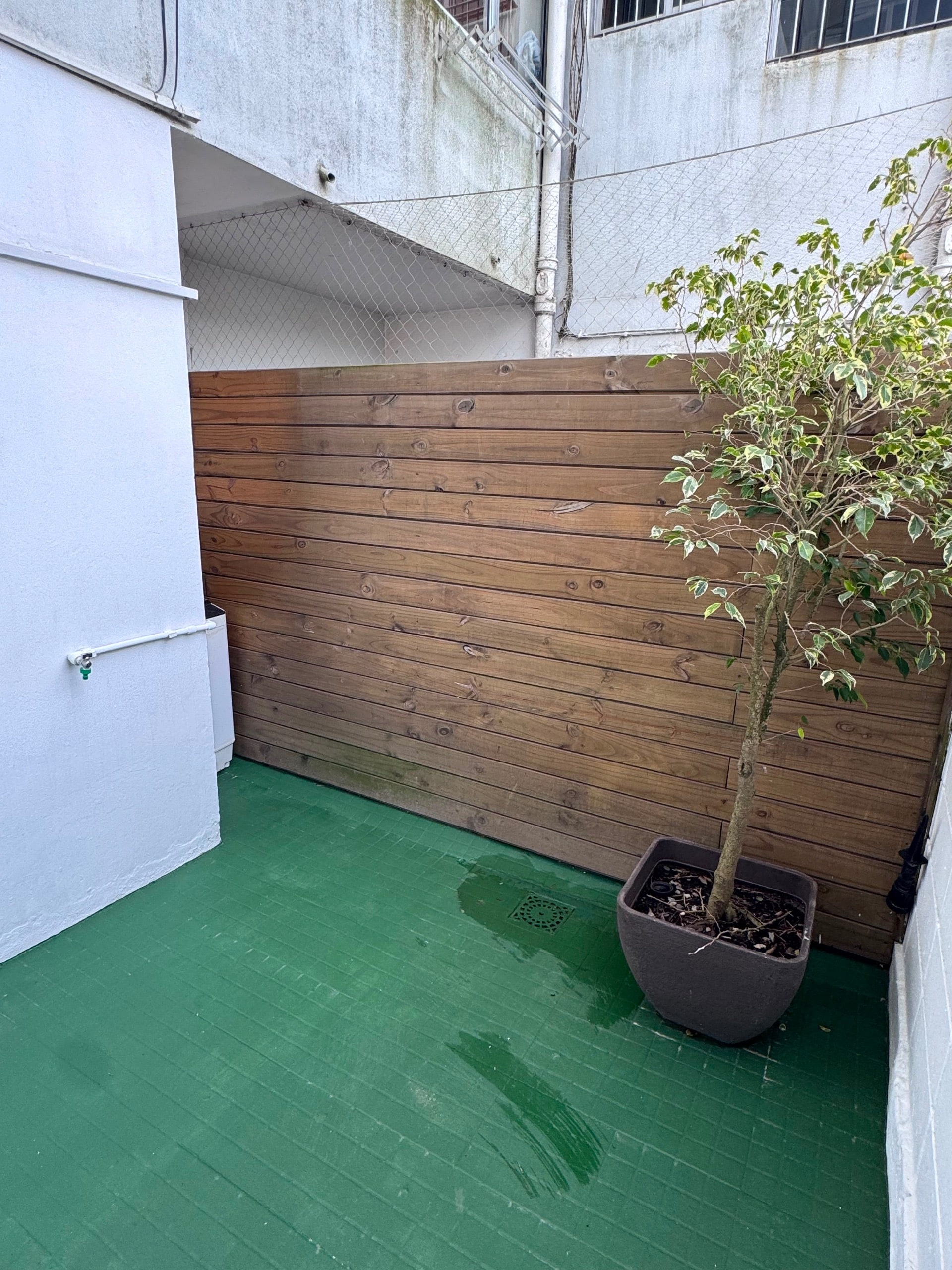 Apartamento en Alquiler 2 Dormitorios en Buceo · Foto 10