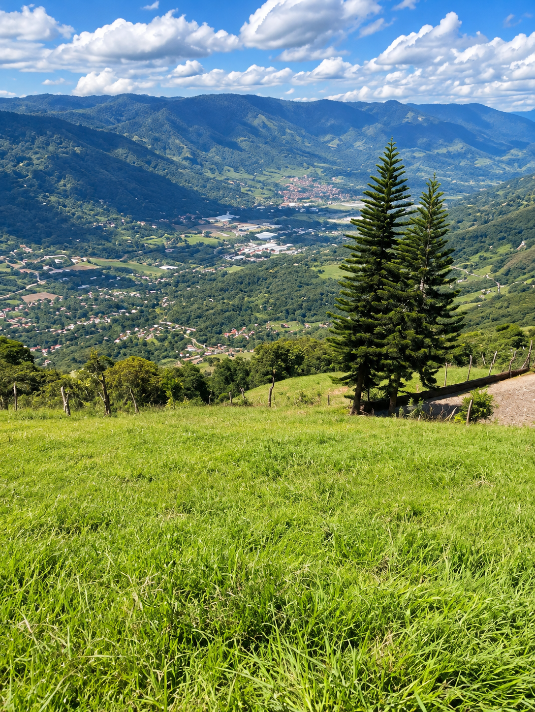 Image 2 for the property advertised in Medellín
