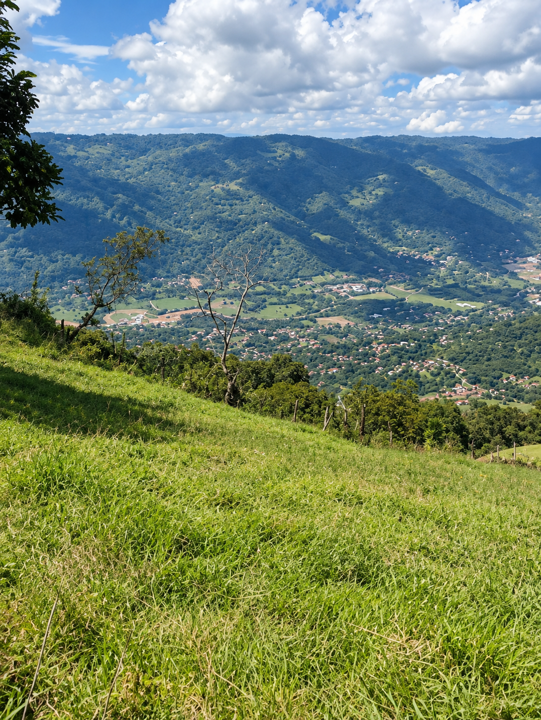 Image 3 for the property advertised in Medellín