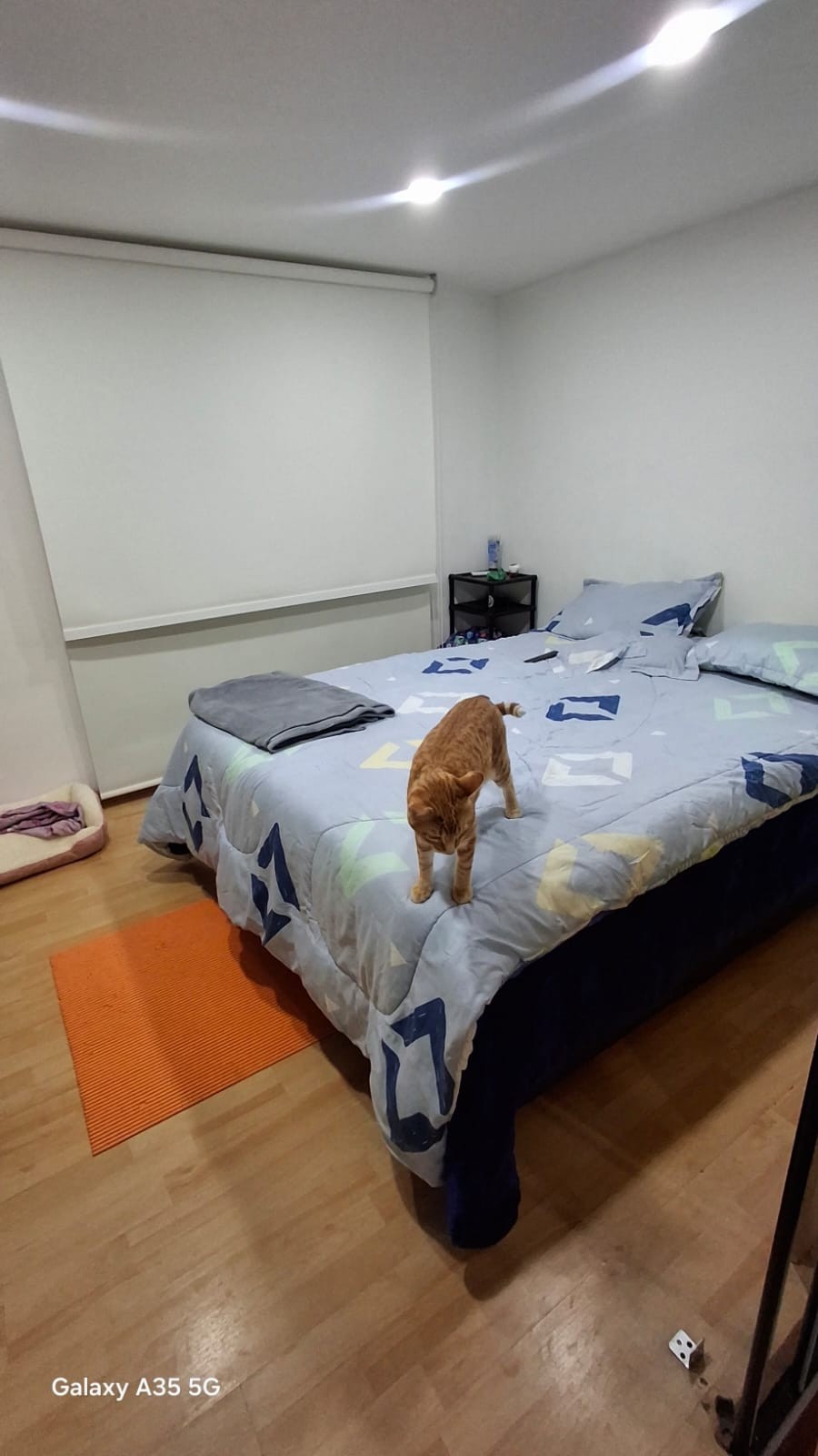 Apartamento en venta en Cerros De Suba, Bogotá · foto 11 de 19