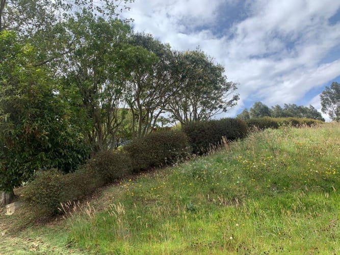 Lote en venta en Yerbabuena, Sopó · foto 9 de 24