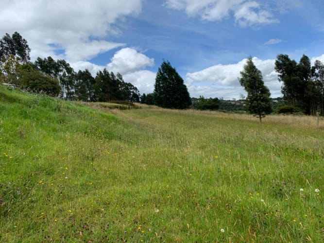 Lote en venta en Yerbabuena, Sopó · foto 23 de 24