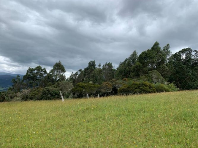 Lote en venta en Yerbabuena, Sopó · foto 24 de 24