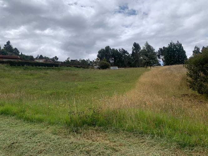 Lote en venta en Yerbabuena, Sopó · foto 9 de 22