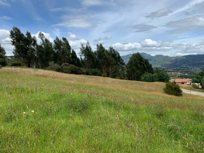 Lote en venta en Yerbabuena, Sopó · foto 20 de 22