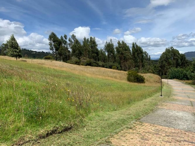 Lote en venta en Yerbabuena, Sopó · foto 22 de 22