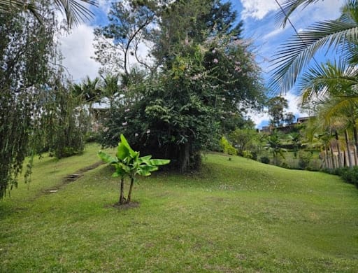 Finca en arriendo en Cabeceras De Llanogrande, Rionegro, 1000 m² · foto 8 de 17