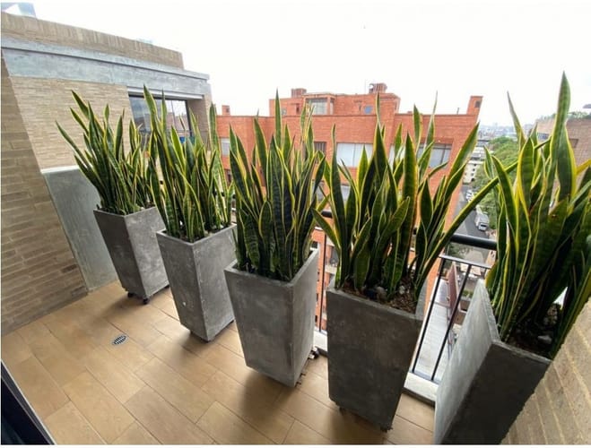 Apartamento de 2 alcobas en venta en El Virrey, Bogotá, 214 m² · foto 14 de 24