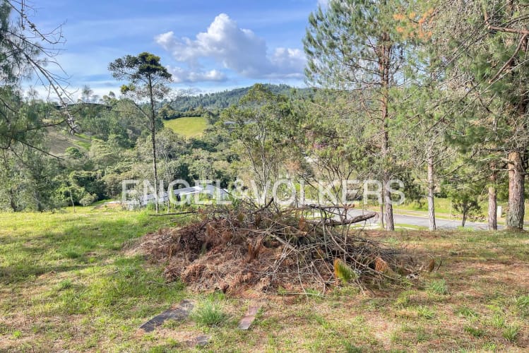 Lote en venta en Loma Del Escobero, Envigado · foto 5 de 5