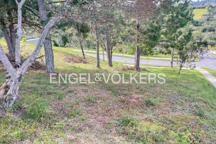 Lote en venta en Loma Del Escobero, Envigado · foto 3 de 5