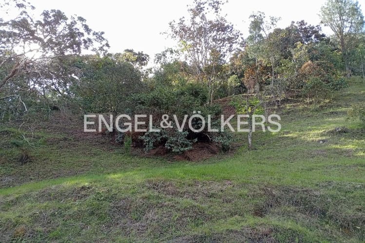 Lote en venta en Los Salados, El Retiro · foto 12 de 13
