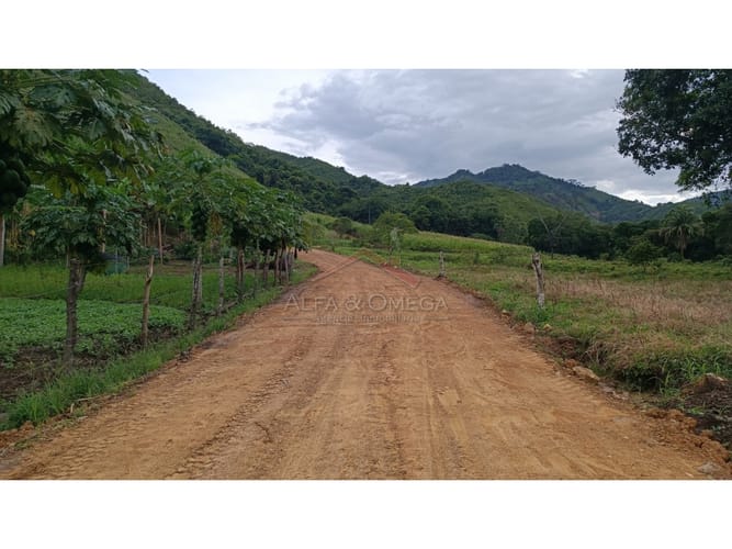 Lote en venta en El Totumo, Ibagué, 1000 m² · foto 2 de 18