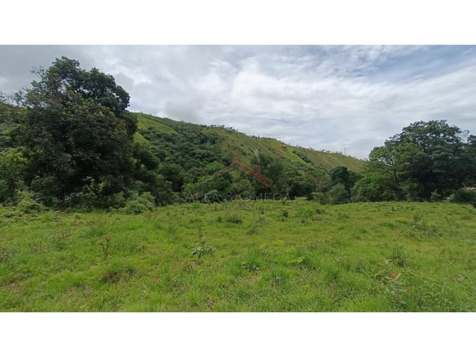 Lote en venta en El Totumo, Ibagué, 1000 m² · foto 3 de 18