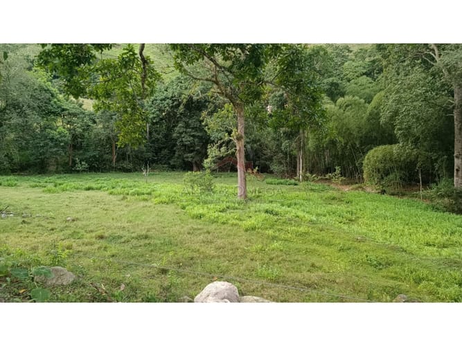 Lote en venta en El Totumo, Ibagué, 1000 m² · foto 5 de 18
