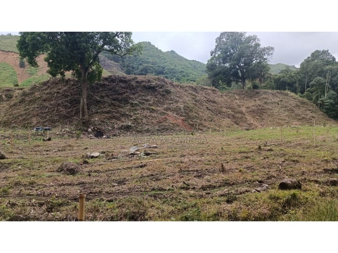 Lote en venta en El Totumo, Ibagué, 1000 m² · foto 6 de 18