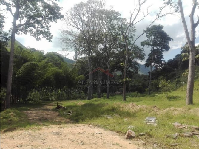 Lote en venta en El Totumo, Ibagué, 1000 m² · foto 7 de 18