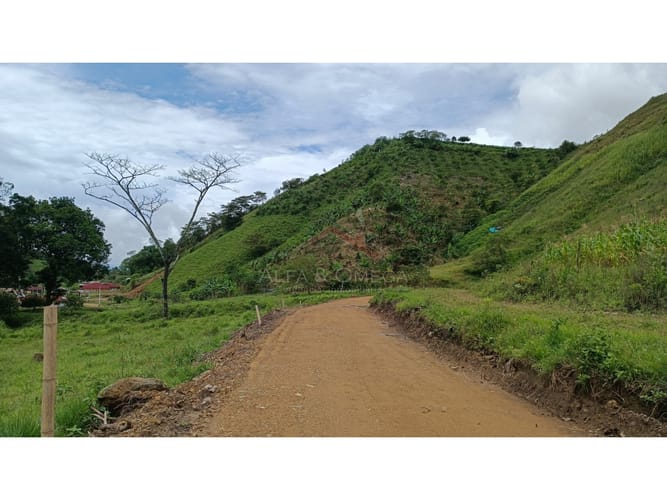 Lote en venta en El Totumo, Ibagué, 1000 m² · foto 9 de 18