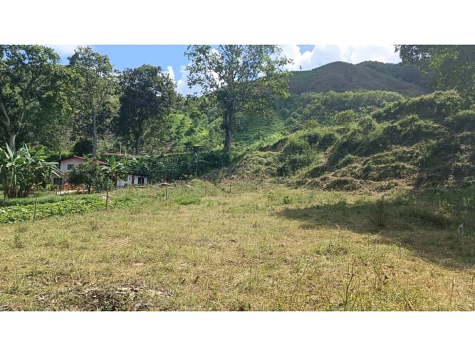 Lote en venta en El Totumo, Ibagué, 1000 m² · foto 10 de 18