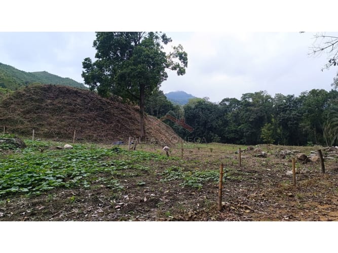Lote en venta en El Totumo, Ibagué, 1000 m² · foto 11 de 18
