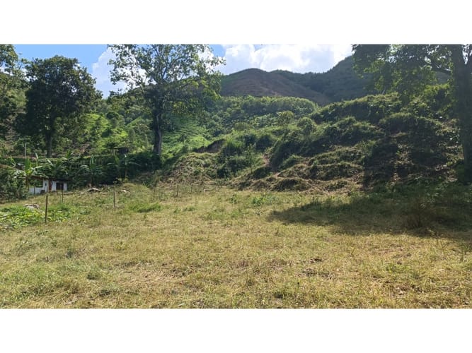 Lote en venta en El Totumo, Ibagué, 1000 m² · foto 12 de 18
