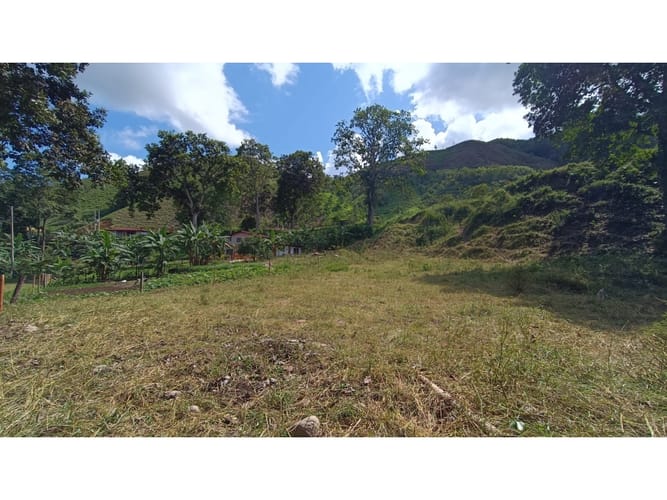 Lote en venta en El Totumo, Ibagué, 1000 m² · foto 14 de 18