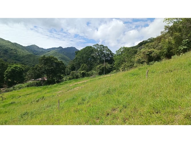 Lote en venta en El Totumo, Ibagué, 1000 m² · foto 15 de 18