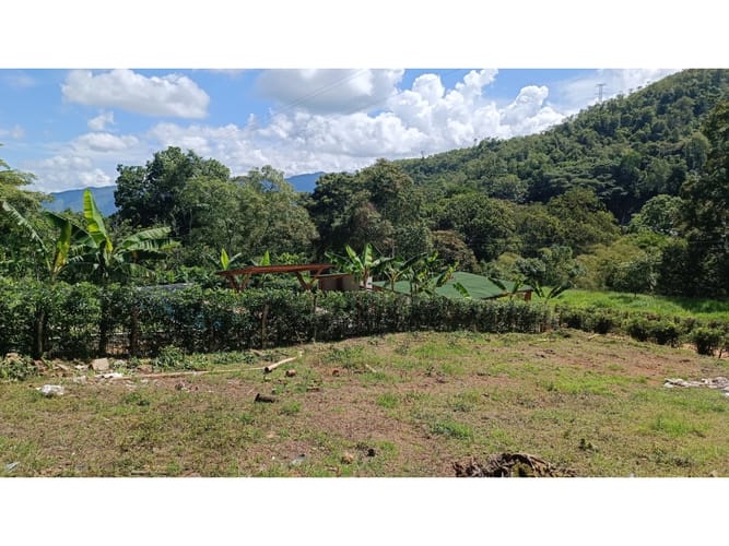 Lote en venta en El Totumo, Ibagué, 1000 m² · foto 16 de 18