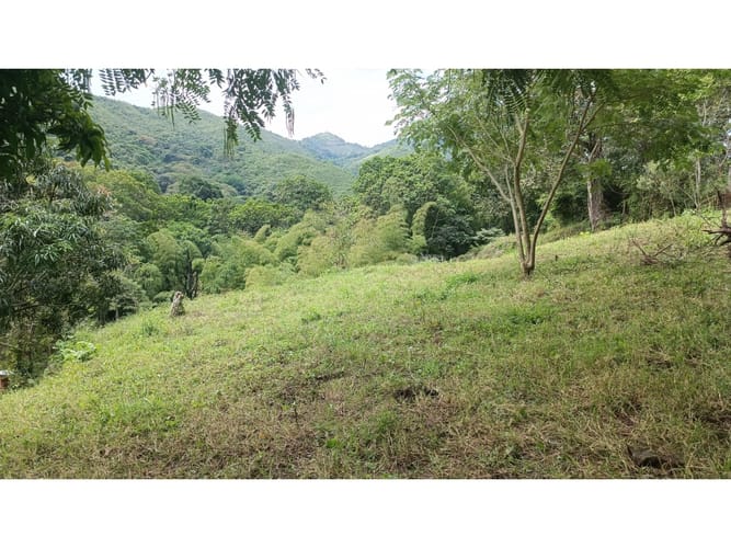 Lote en venta en El Totumo, Ibagué, 1000 m² · foto 17 de 18