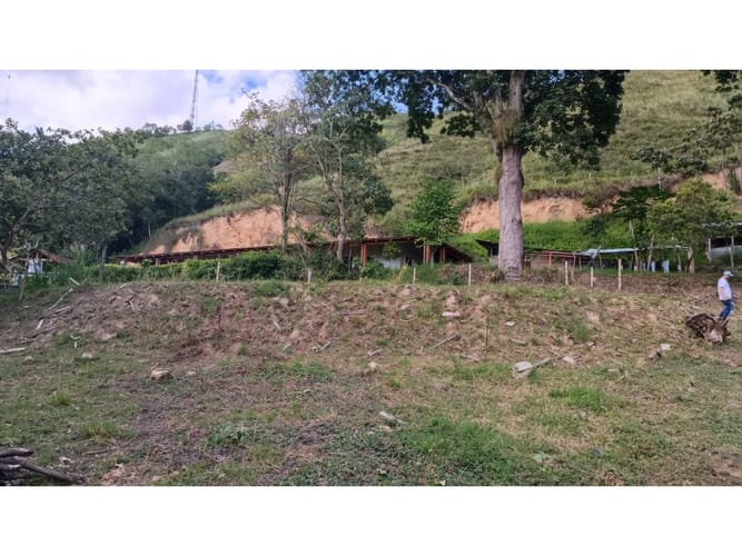 Lote en venta en El Totumo, Ibagué, 1000 m² · foto 18 de 18
