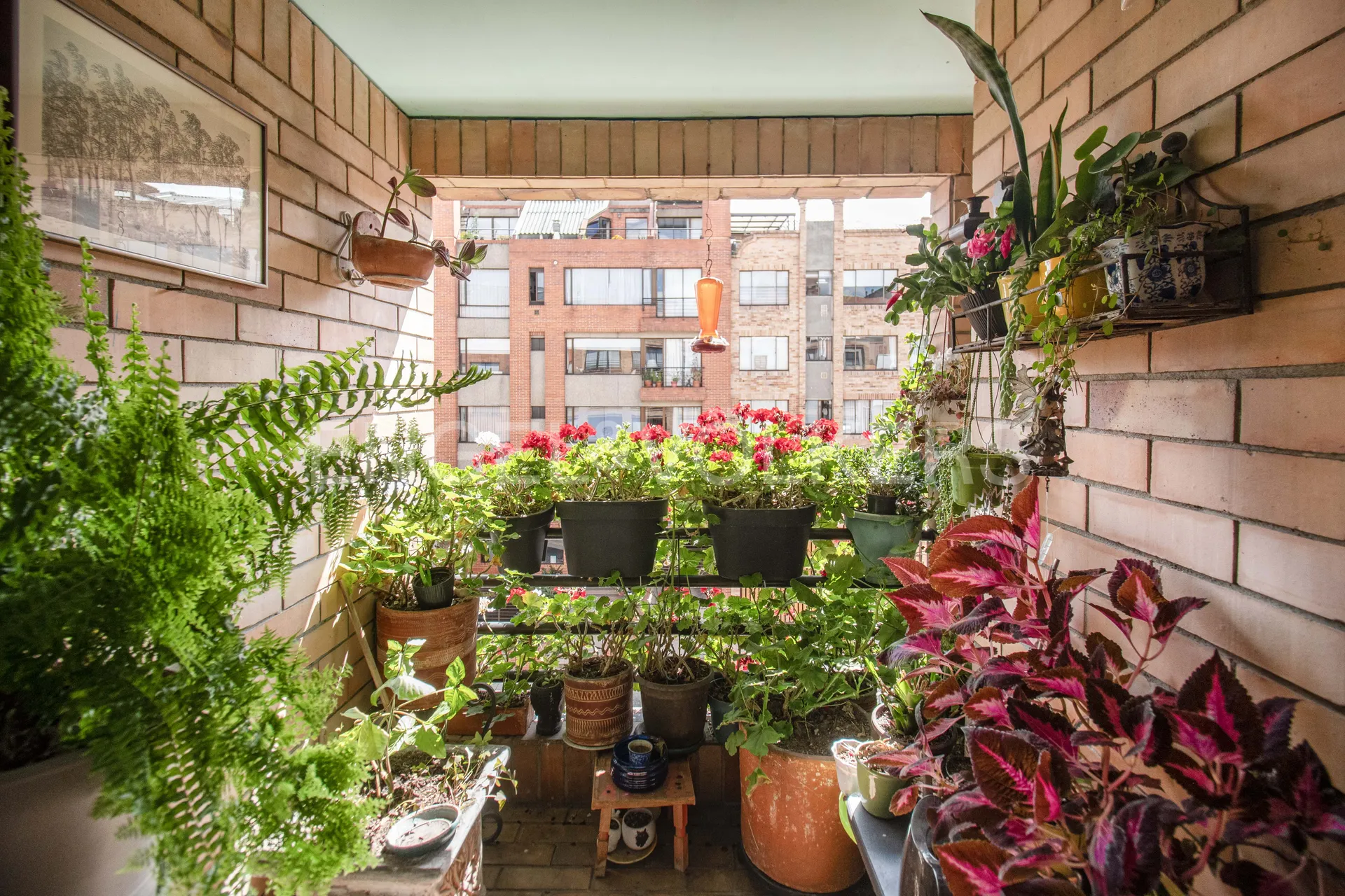 Apartamento en venta en Pasadena, Bogotá · foto 8 de 21