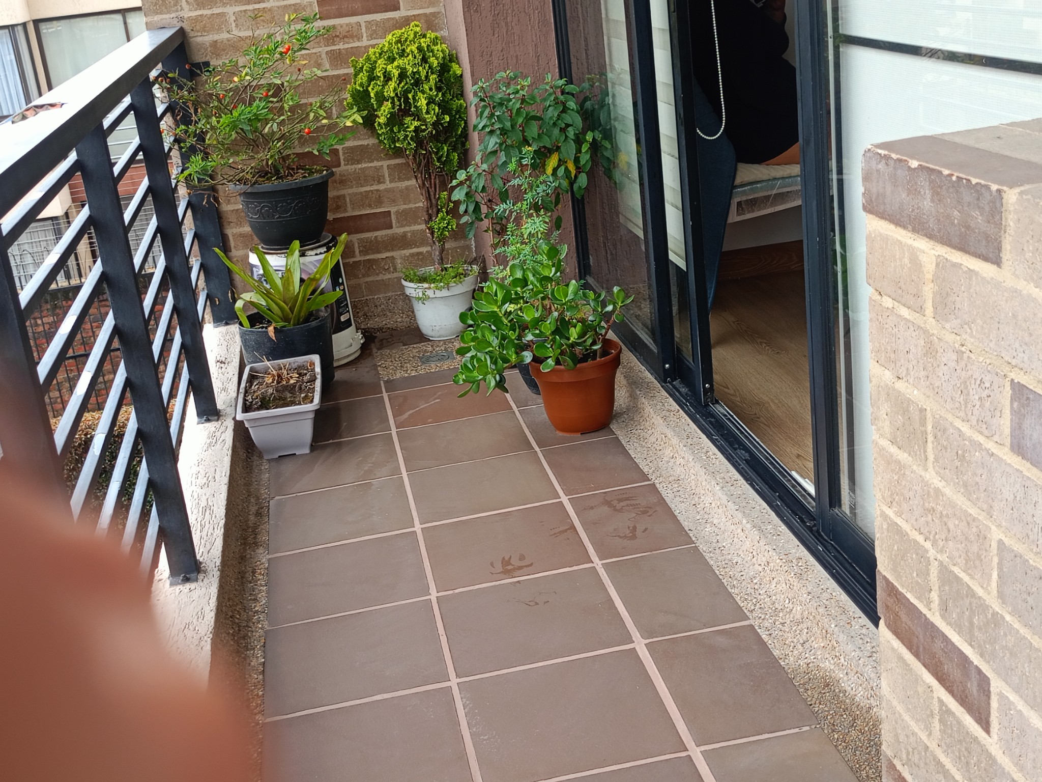 Apartamento en venta en Fredonia, Chía · foto 3 de 24