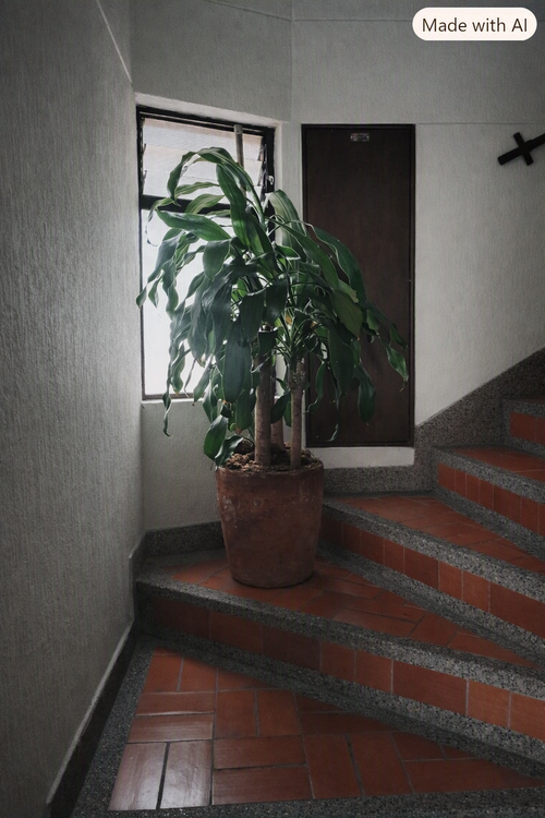 Apartamento de 4 alcobas en venta en Laureles, Medellín, 84 m² · foto 21 de 24
