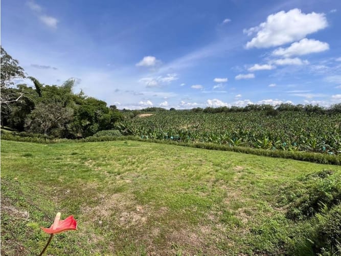 Lote en venta en Armenia, 3050 m² · foto 3 de 21
