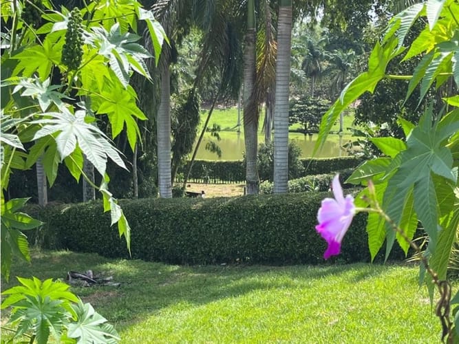 Lote en venta en Armenia, 3050 m² · foto 7 de 21