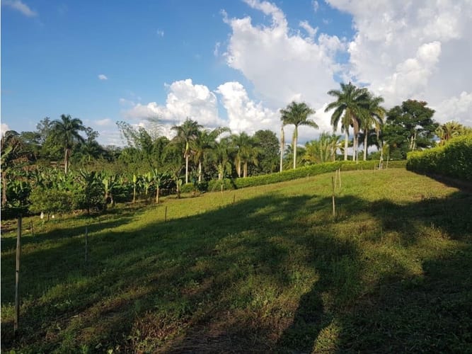 Lote en venta en Armenia, 3050 m² · foto 9 de 21