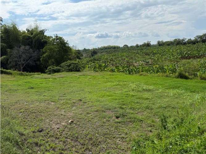 Lote en venta en Armenia, 3050 m² · foto 18 de 21