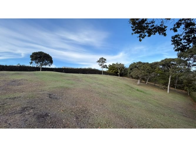 Lote en venta en Llano Grande, Rionegro, 2500 m² · foto 7 de 7