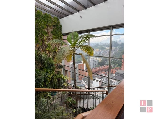 Apartamento de 5 alcobas en venta en Palermo, Manizales, 586 m² · foto 11 de 24