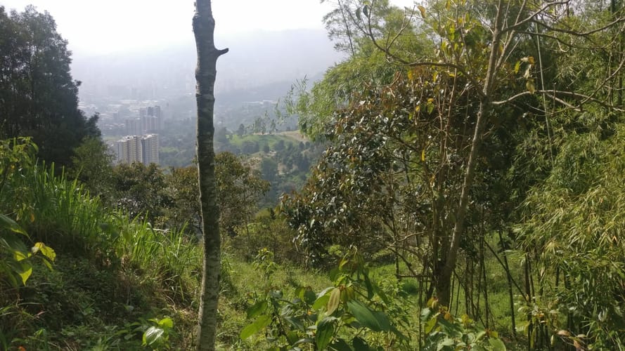 Lote en venta en El Pedrero, La Estrella, 5243 m² · foto 2 de 12