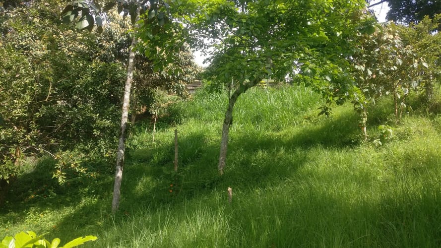 Lote en venta en El Pedrero, La Estrella, 5243 m² · foto 3 de 12