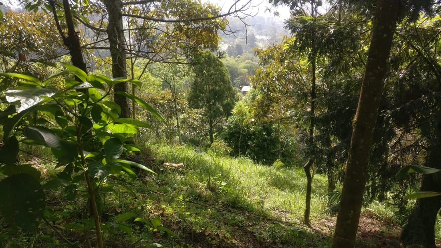Lote en venta en El Pedrero, La Estrella, 5243 m² · foto 4 de 12