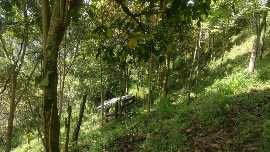 Lote en venta en El Pedrero, La Estrella, 5243 m² · foto 5 de 12