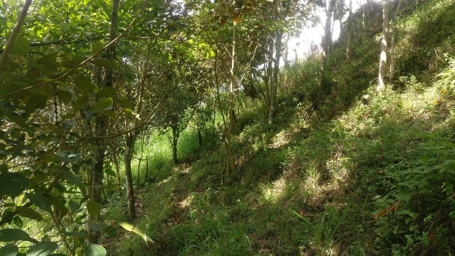 Lote en venta en El Pedrero, La Estrella, 5243 m² · foto 7 de 12